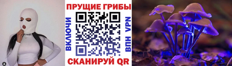 Галлюциногенные грибы ЛСД  omg рабочий сайт  Сертолово  как найти закладки 